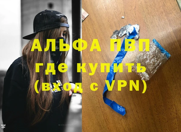 шишки Бородино