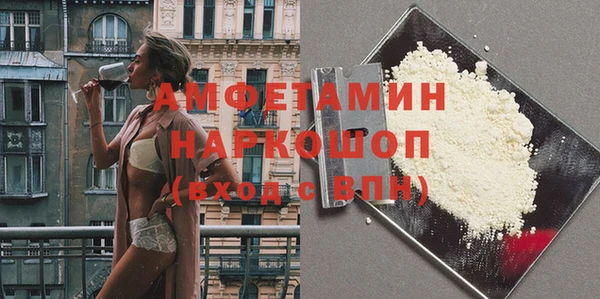 шишки Бородино
