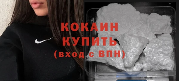 шишки Бородино