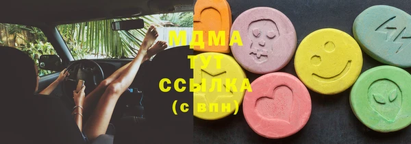 шишки Бородино
