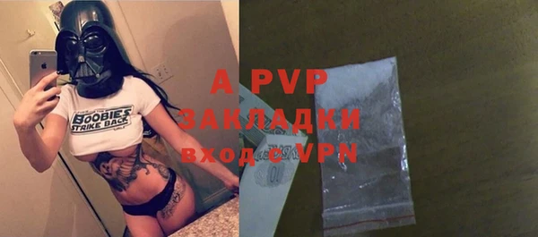 шишки Бородино