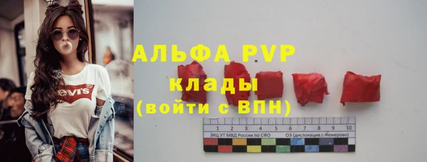шишки Бородино