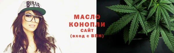 шишки Бородино