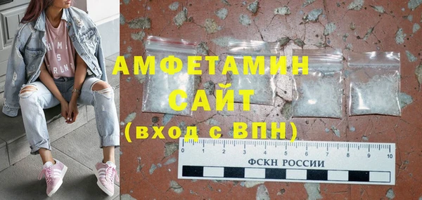 шишки Бородино