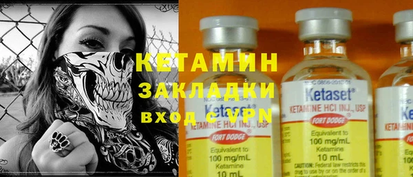 шишки Бородино