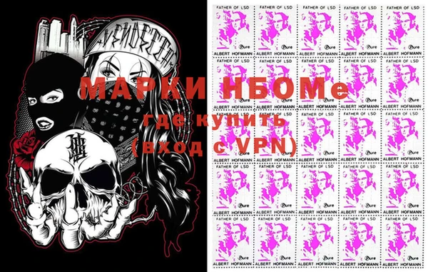 шишки Бородино